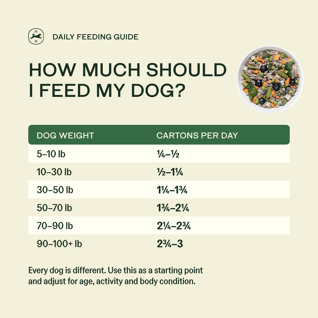 100% Human-Grade Dog Food