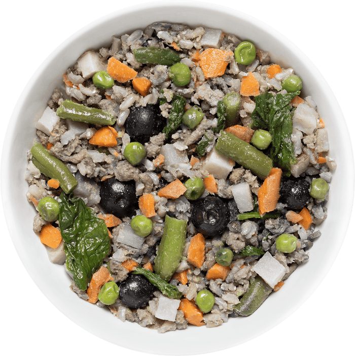 Bowl of dog food