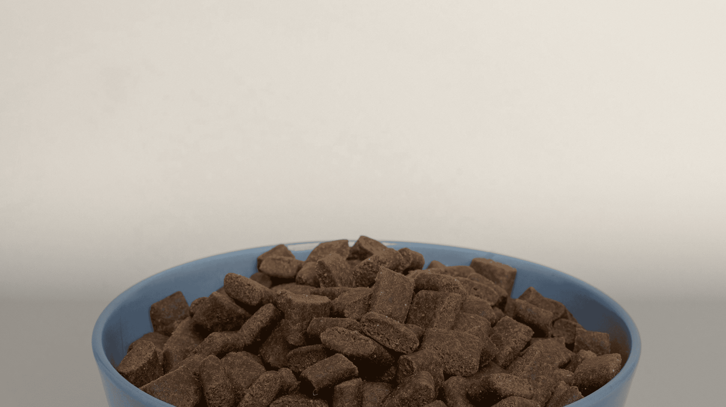 Blue bowl filled with brown dog food