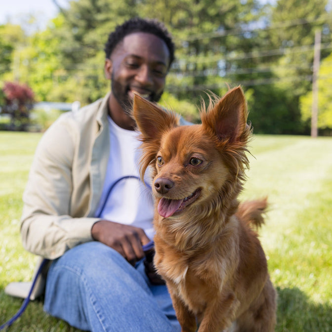 Man sitting on grass with a dog in a park