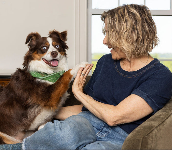 Dog giving a woman a high five