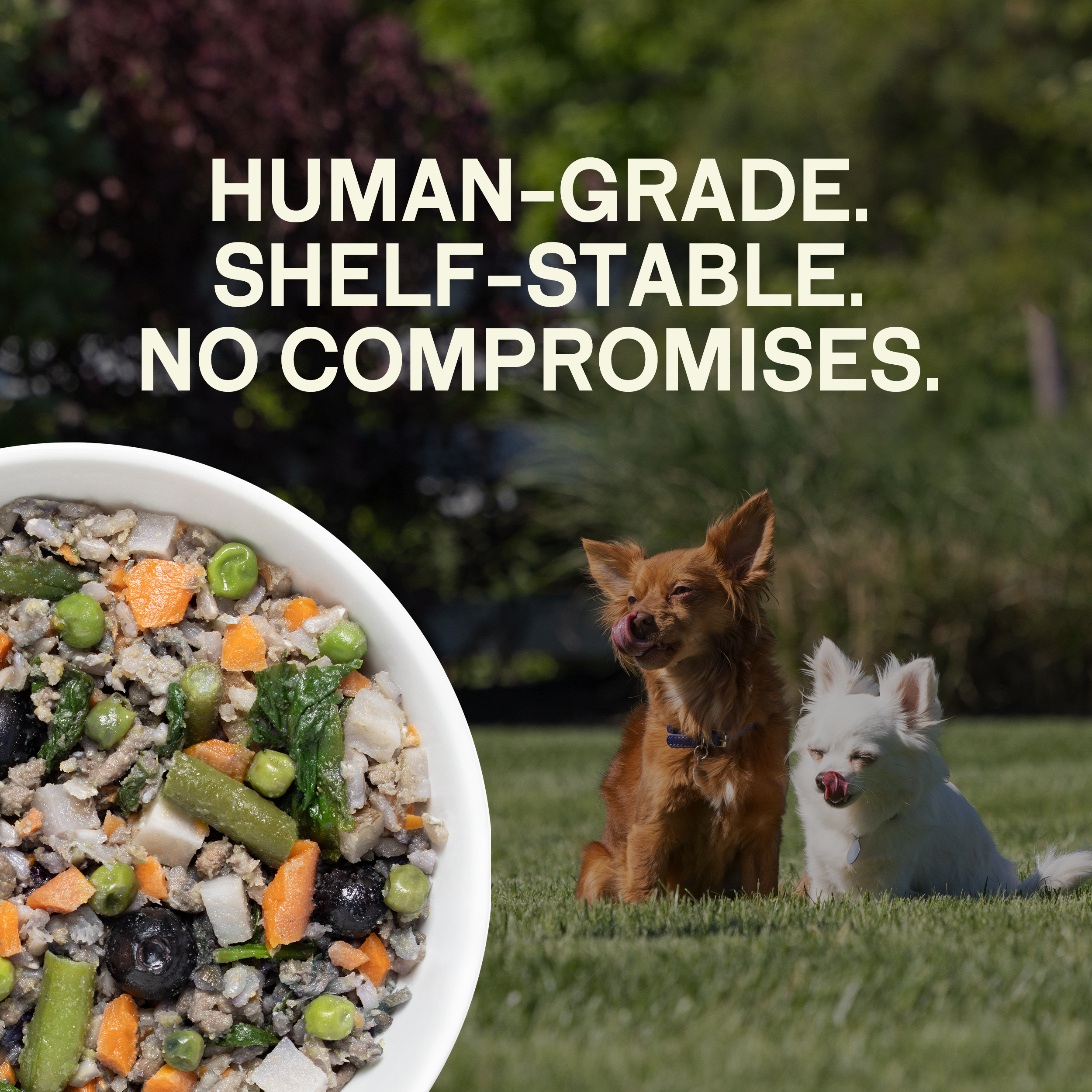 3-Carton Sample Pack (6 Meals)