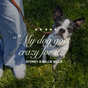Two Recipe Combos: 100% Human-Grade Dog Food, image 9