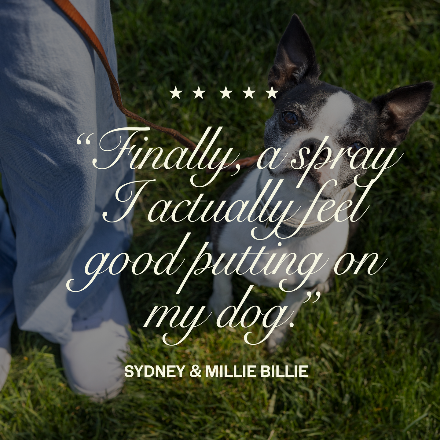 Happy Armor - Flea & Tick Topical Spray, image 4