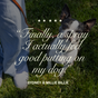 Happy Armor - Flea & Tick Topical Spray, image 4