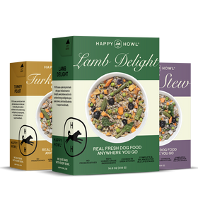 Bowl of dog food