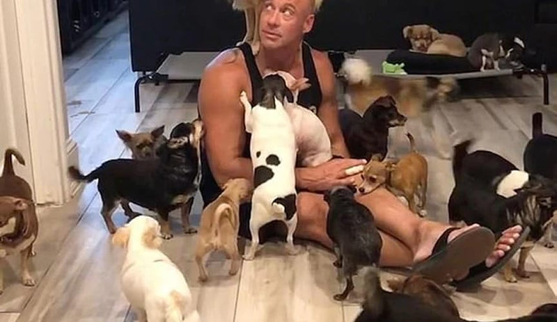 Person sitting on a floor surrounded by small dogs in a home setting