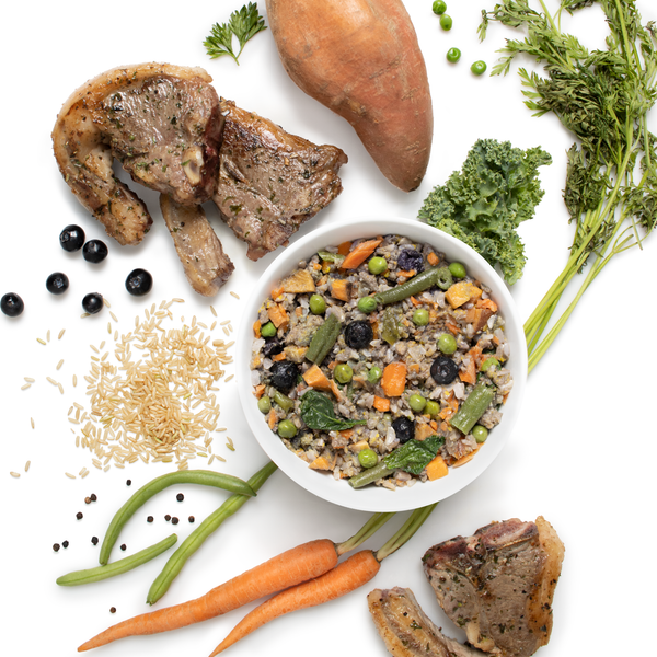 Assorted ingredients including meat, vegetables, and a bowl of Happy Howl all natural dog food on a white background
